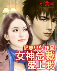女神总裁爱上我女神总裁爱上我
