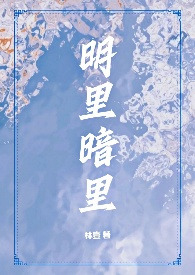 《明里暗里（1v2，兄弟盖饭）》《明里暗里（1v2，兄弟盖饭）》